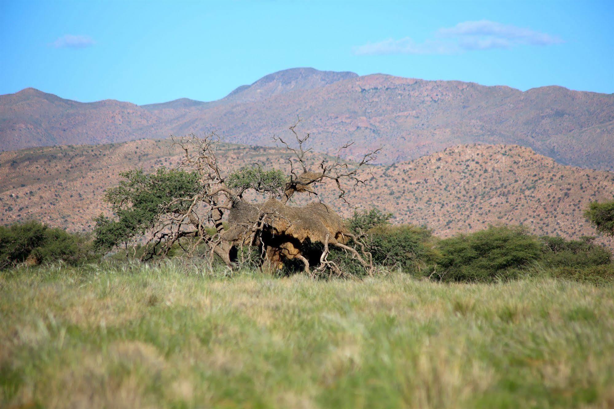 Solitaire Desert Farm Exterior photo
